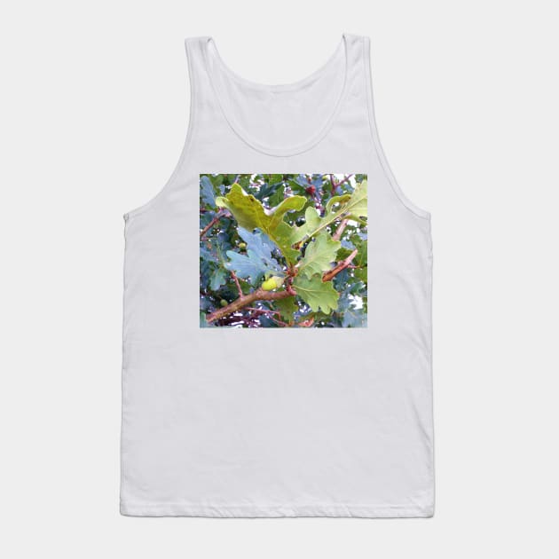 Acorn Tank Top by robelf